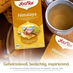 Clearance Yogi Tea Himalaya Bio, 17X2.0 g