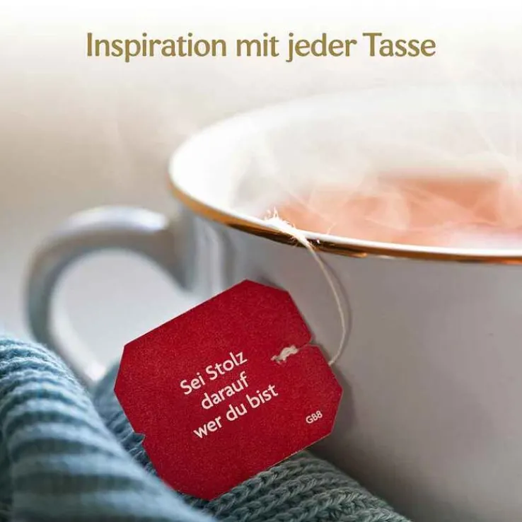 Yogi Tea Natürliche Abwehr Filterbeutel, 17X1.8 g