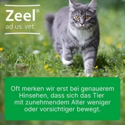 Zeel® ad us. vet. Tabletten, 500 St