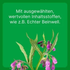 ® LT ad us. vet. Tabletten, 100 St Biologische Heilmittel Heel Gmbh