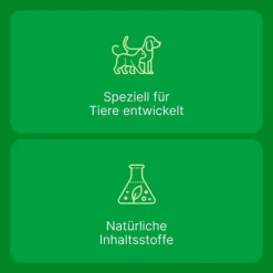 ® LT ad us. vet. Tabletten, 100 St Biologische Heilmittel Heel Gmbh