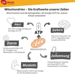 Clearance Zell Oxygen plus flüssig, 250 ml Enzyme