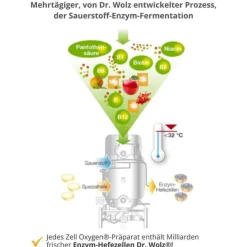 Clearance Dr. Wolz Zell Oxygen Zym Anti Aging 14 Tage Kombipackung, 1 P