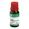 Discount Arcana Zincum metallicum LM 6 Dilution, 10 ml